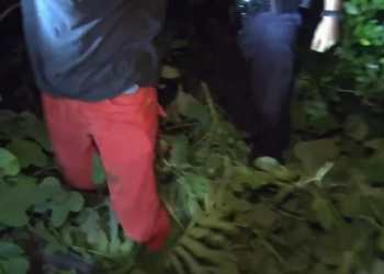 T1205001 Camino a la cárcel lo que nadie se imagina part2