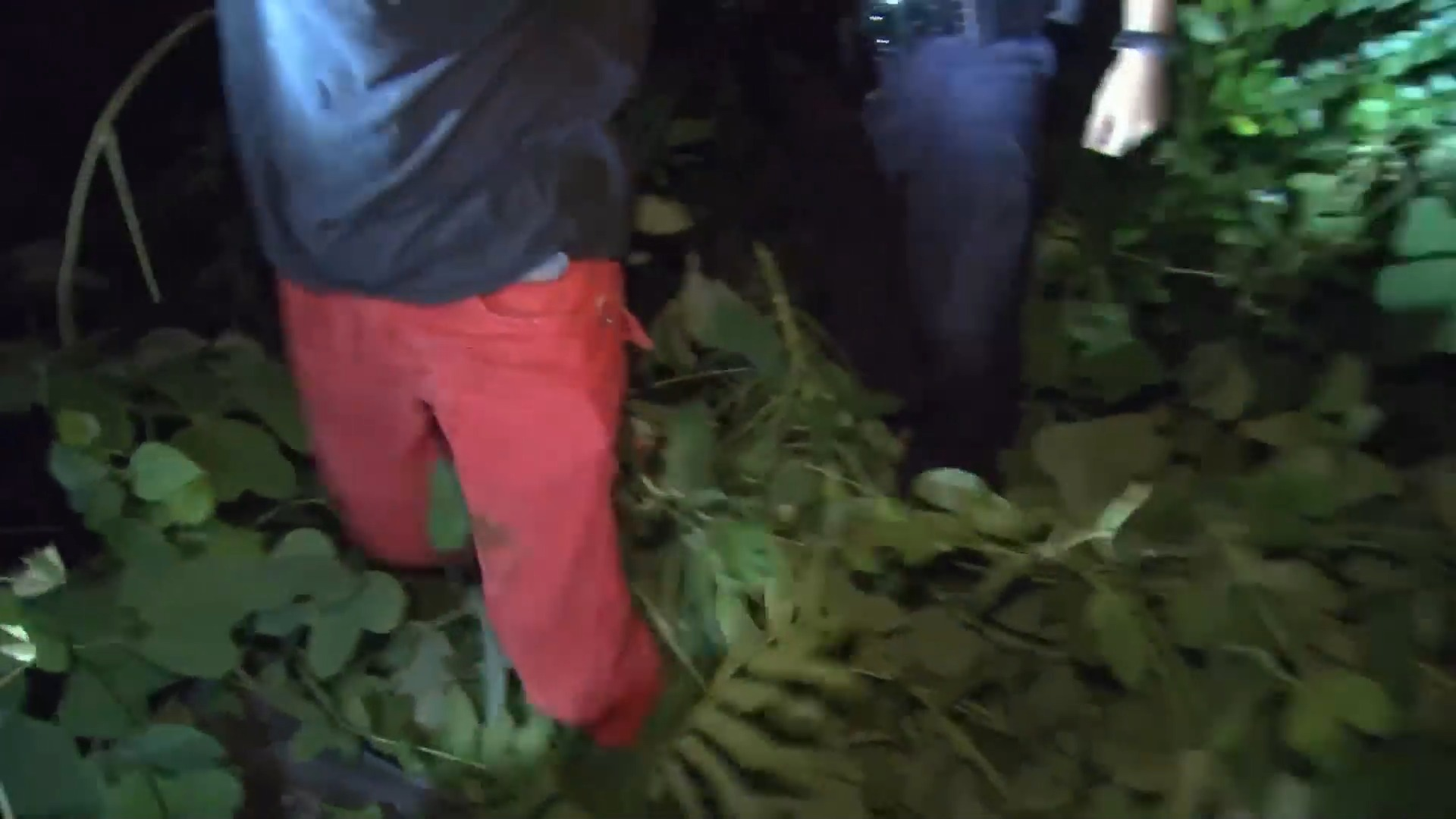 T1205001 Camino a la cárcel lo que nadie se imagina part2