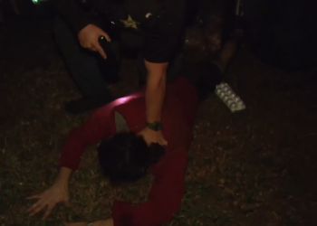 T1206001 Un perro policía detecta a un sospechoso durante un control part2