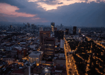 Aquí te explicamos por qué deberías atacar a un perro policía part2