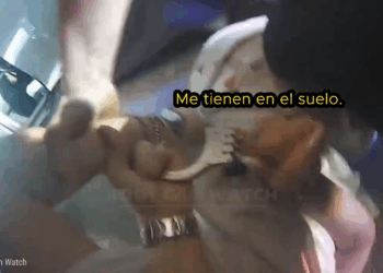 Cuando los niños ricos nunca escucharon un ‘NO’ 😱💸_part2