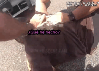 Cuando los Delincuentes Sorprenden a los Policías con su Astucia 😳🚨_part2