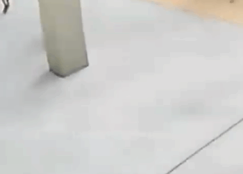 ¡Sospechosa huye pero recibe su merecido 😱🚓!_part2