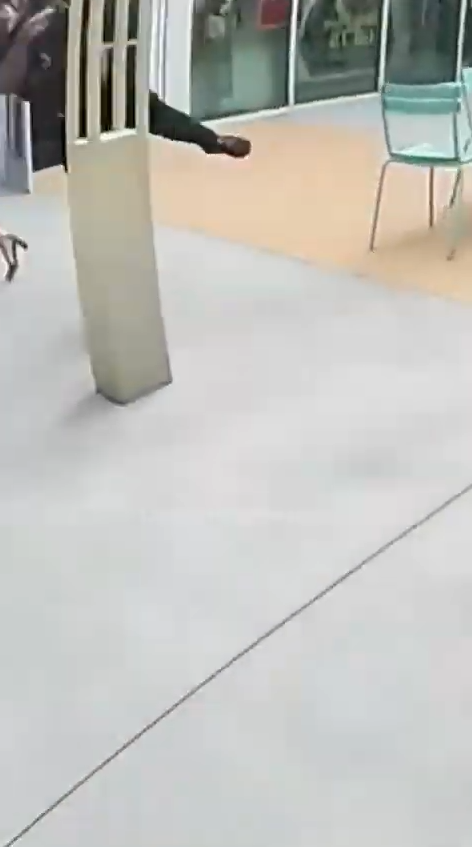 ¡Sospechosa huye pero recibe su merecido 😱🚓!_part2