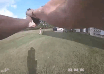 Por Esta Razón NO Debes Intentar Huir de la Policía 😱🚓_part2