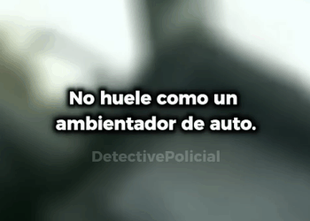 Esta Parada de Tráfico Reveló un Secreto Sorprendente_part2