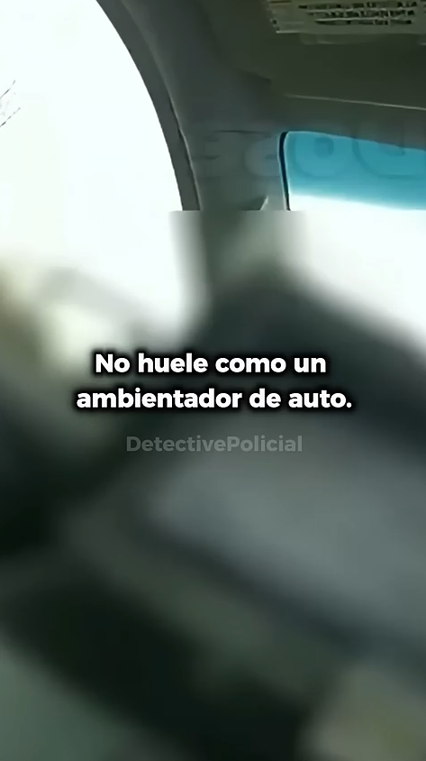 Esta Parada de Tráfico Reveló un Secreto Sorprendente_part2