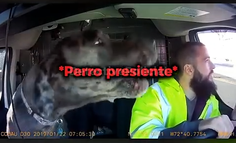 La Historia Más Sorprendente Dentro del Mundo Policial_part2
