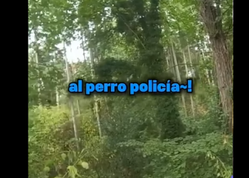 No Era Policía, Era Perricía part2