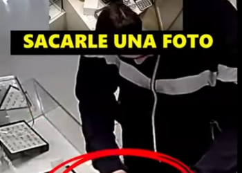 Robo Millonario Estaba todo Planeado fue un Accidente part2