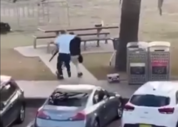 Bystander hailed as a hero after stopping an armed suspect at Bondi Beach (Video)