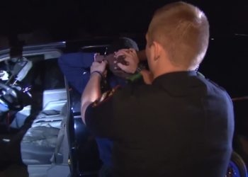 T1206002 Un perro policía detecta a un sospechoso durante un control part2