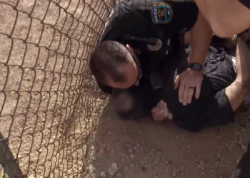 T0612002 Su Voluntad Episodio Completo Temporada Episodio part2