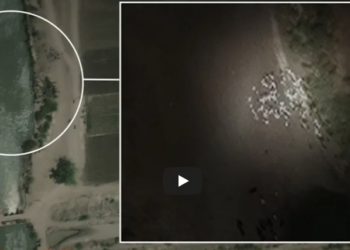 Satellite imagery and whistleblower accounts shed light on findings in Sudan’s canals (Video)