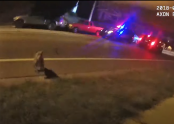 La cámara corporal registra a un oficial actuando ante un animal que se abalanzó en Grand Rapids part2