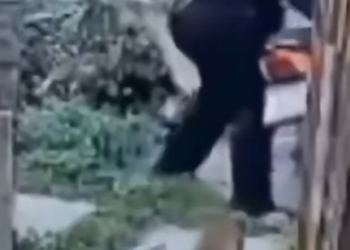 Mulher SALVA de Assalto por um Herói Improvável part2