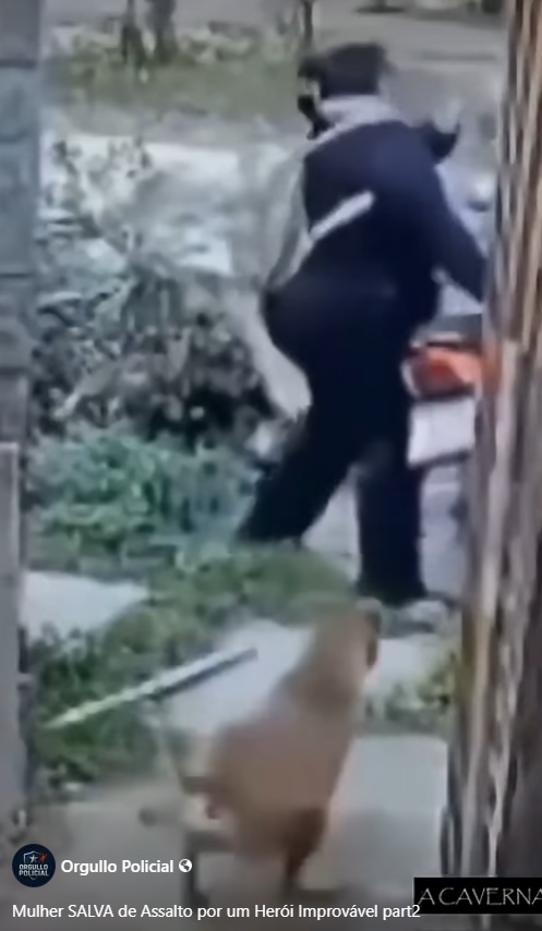 Mulher SALVA de Assalto por um Herói Improvável part2