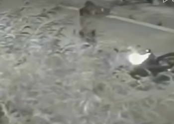 PM de Folga REAGE Tentativa de Assalto em SP! #crime part2