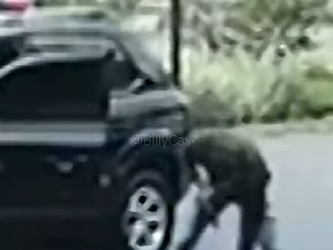 Policial REAGE Impede Fuga de FORAGIDO em SP! #crime part2