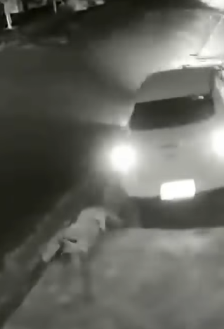 Motorista REAGE Tentativa de Assalto! #crime part2