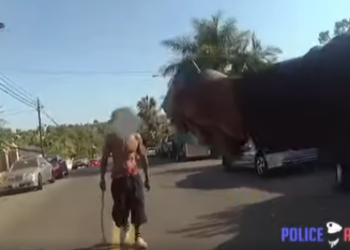 Bodycam capta un enfrentamiento con un sospechoso armado con una cadena en San Diego part2