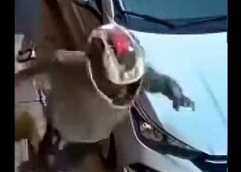 Dupla de Policiais de Folga REAGE Assalto em Bar! #crime part2