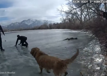 T2304010 Cuando Los Policías Sobreviven Lo part2