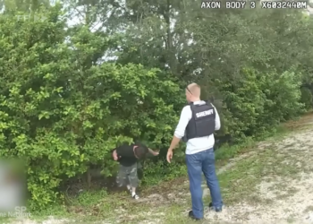 T0417006 Cuando La Policía Descubre El Horripilante Secreto De Un JOVEN part2