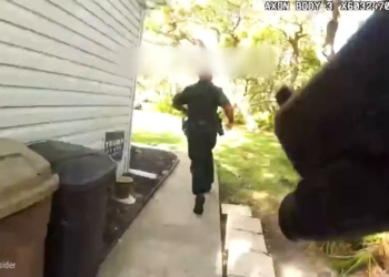 T2504003 Cuando Los Delincuentes Tontos Hacen Un Último Esfuerzo Para part2