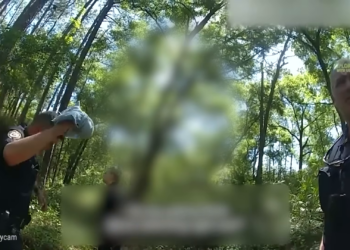 T2004025 Cuando Los Policías Descubren Personas Sec estradas Después De Años… part2