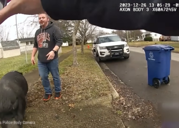 T2504006 Los Momentos Policiales Más DIVERTIDOS De Todos Los part2