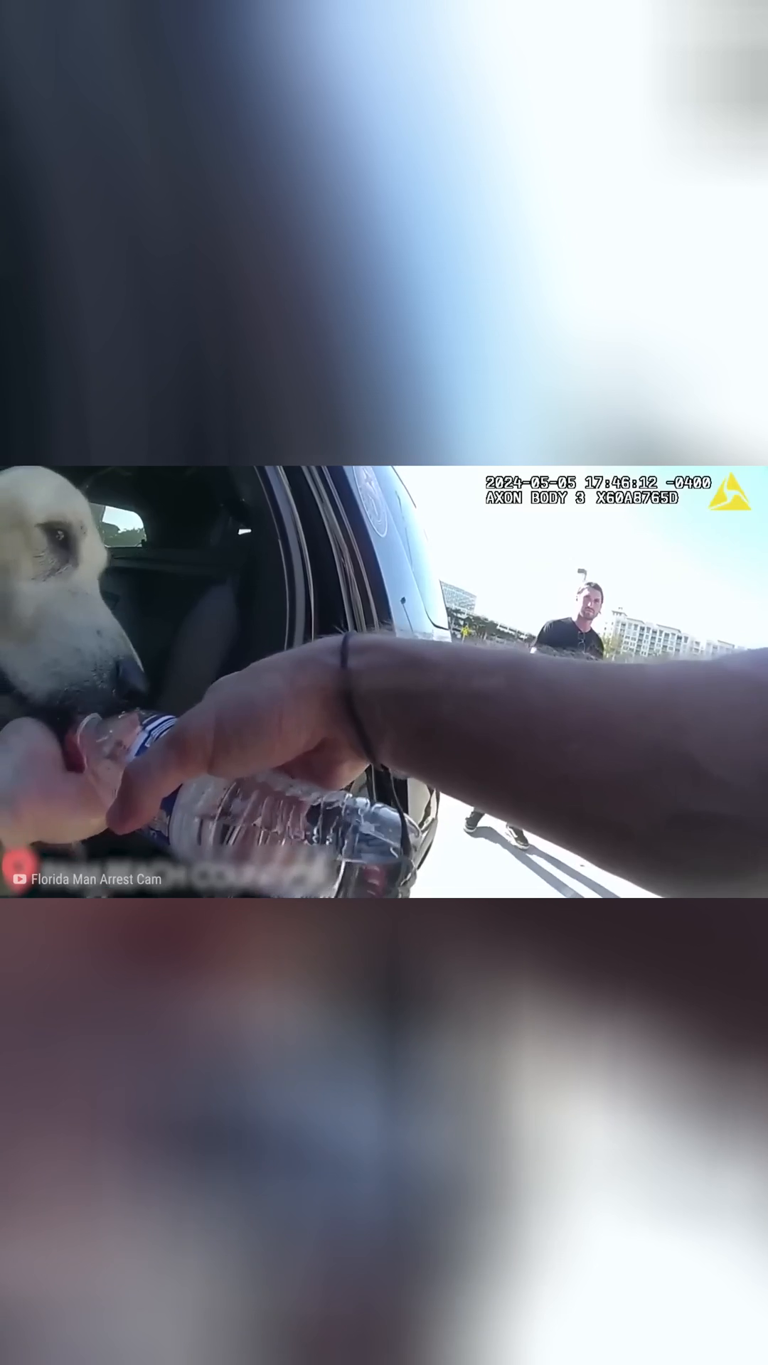 Cuando Policías S4lvan Animales Justo Tiempo part2